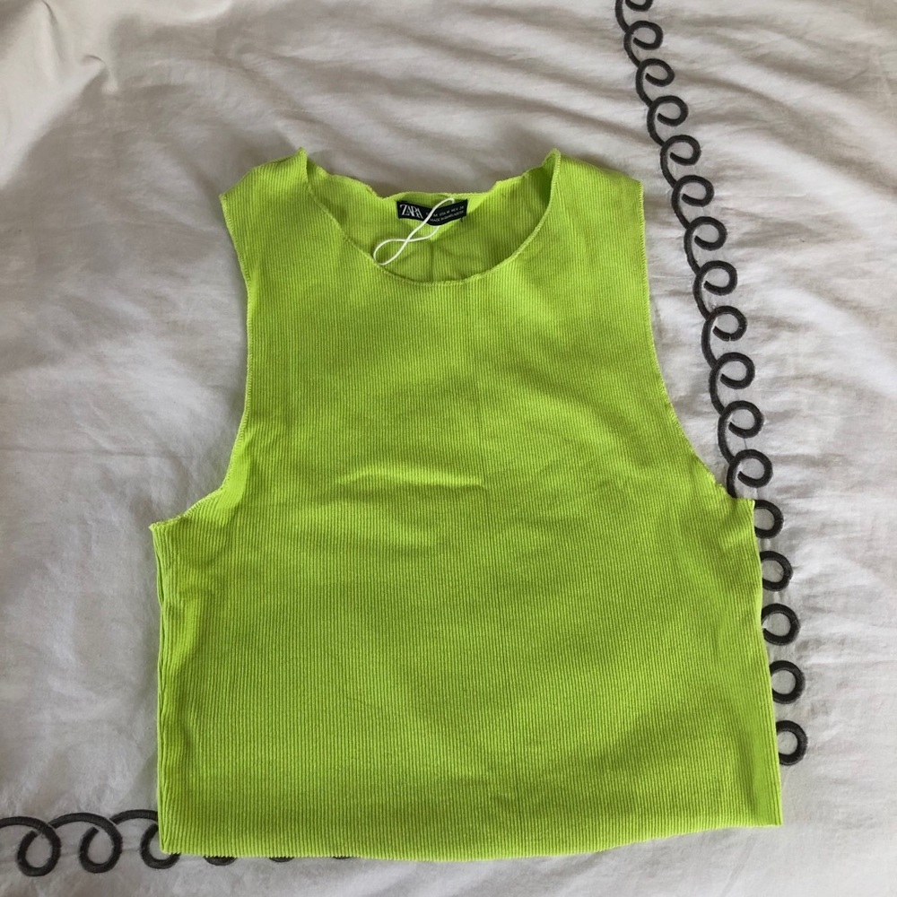 Zara Cropped Top